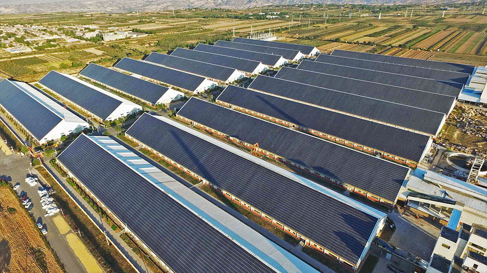 mg冰球突破(中国)官方网站